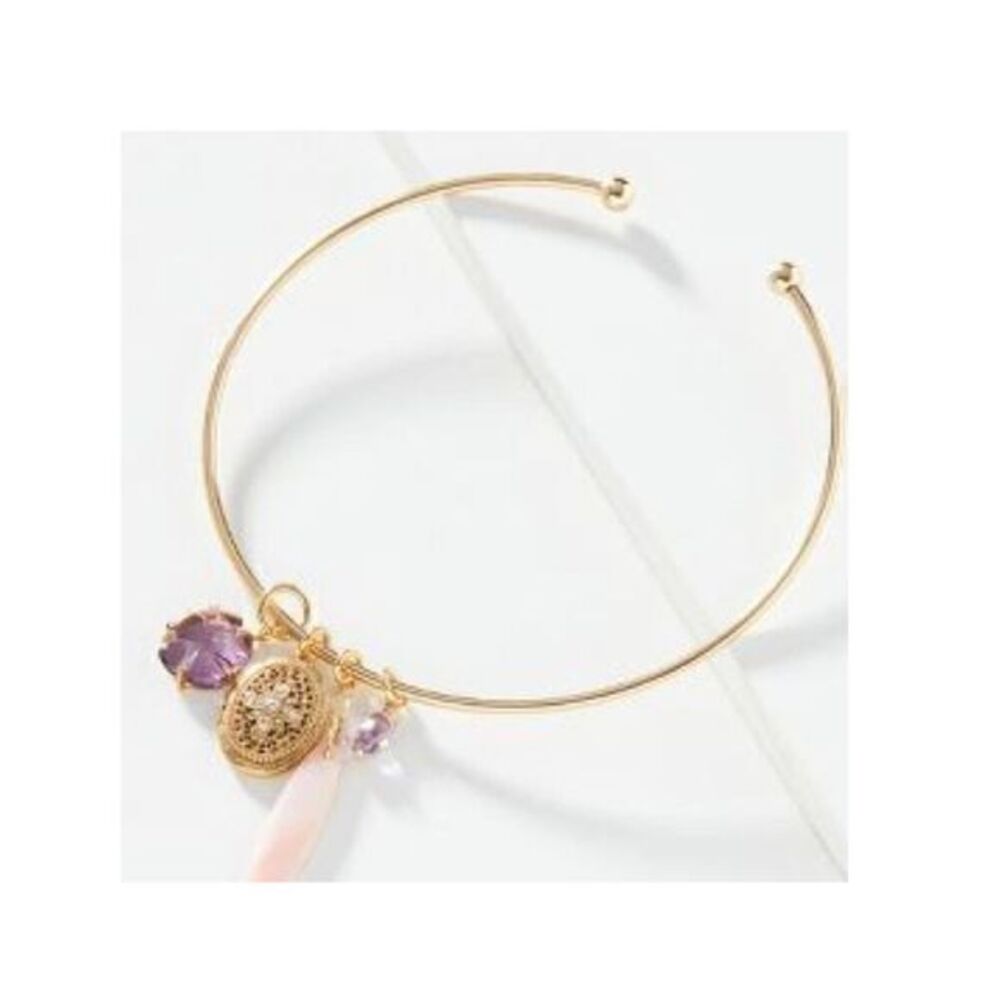 ANTHROPOLOGIE NWT Locket Charm Choker Necklace
